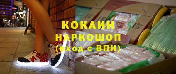 сатива Мегион