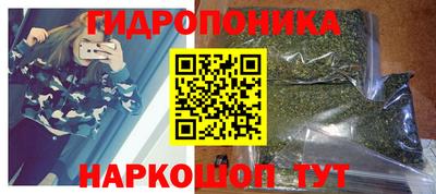 дмт Кандалакша