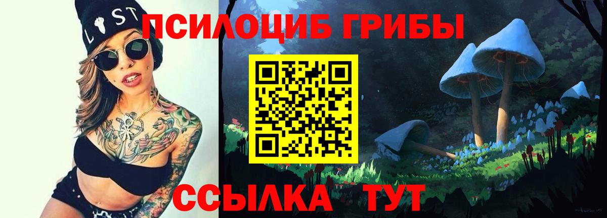 Галлюциногенные грибы MAGIC MUSHROOMS  Псилоцибиновые грибы GOLDEN TEACHER  Вход с VPN  Набережные Челны 